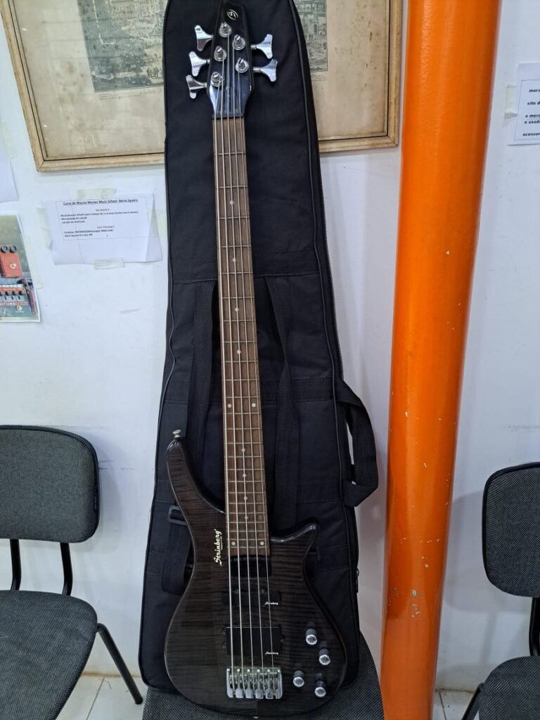 baixo de 5 cordas strinberg com Hard case , regulado e cordas novas R$2.800 reais estado de novo